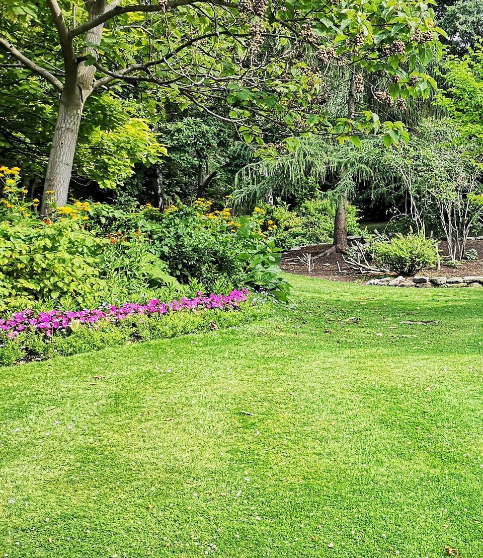 Bloeiende border met gele en roze bloemen onder een boom in een verzorgde tuin