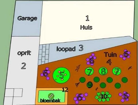 Tuininrichtingsplan met oprit, looppad, borders en bomen